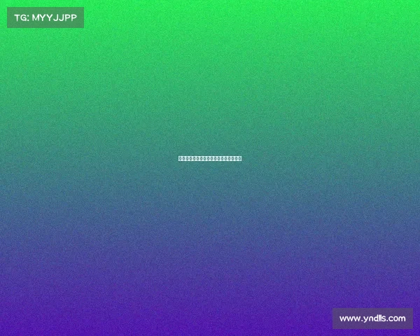 赵鑫的电竞江湖：从默默无闻到万众瞩目